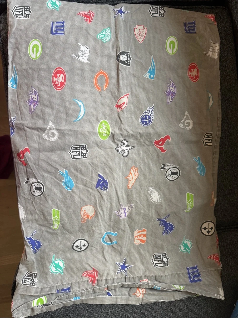 Potter Barn NFL logo Pattern standard pillowcase